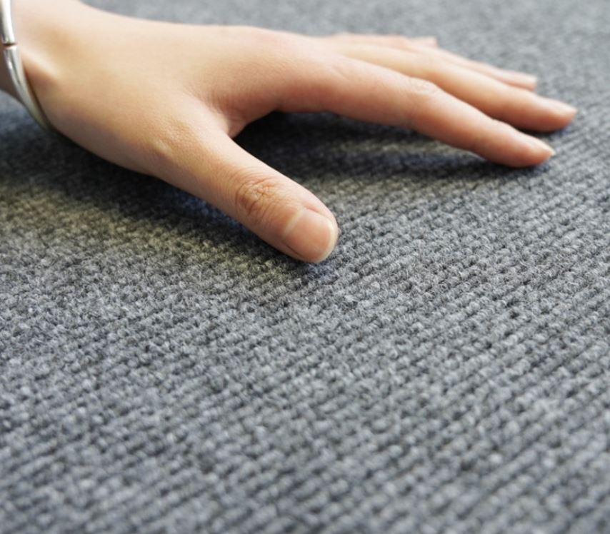 Thickened Household Carpet